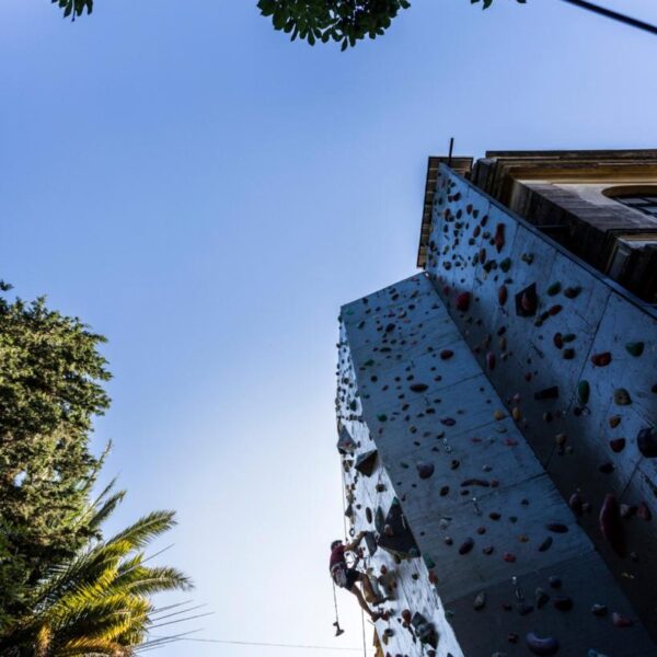 WhatsApp Image 2022-12-27 at 14.31.23